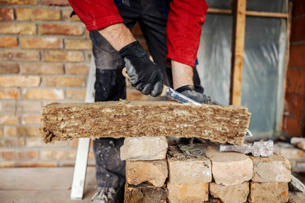 Best Insulation Replacement Services  in Coon Rapids, MN