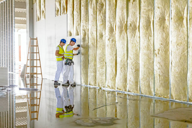 Best Attic Insulation Installation  in Coon Rapids, MN